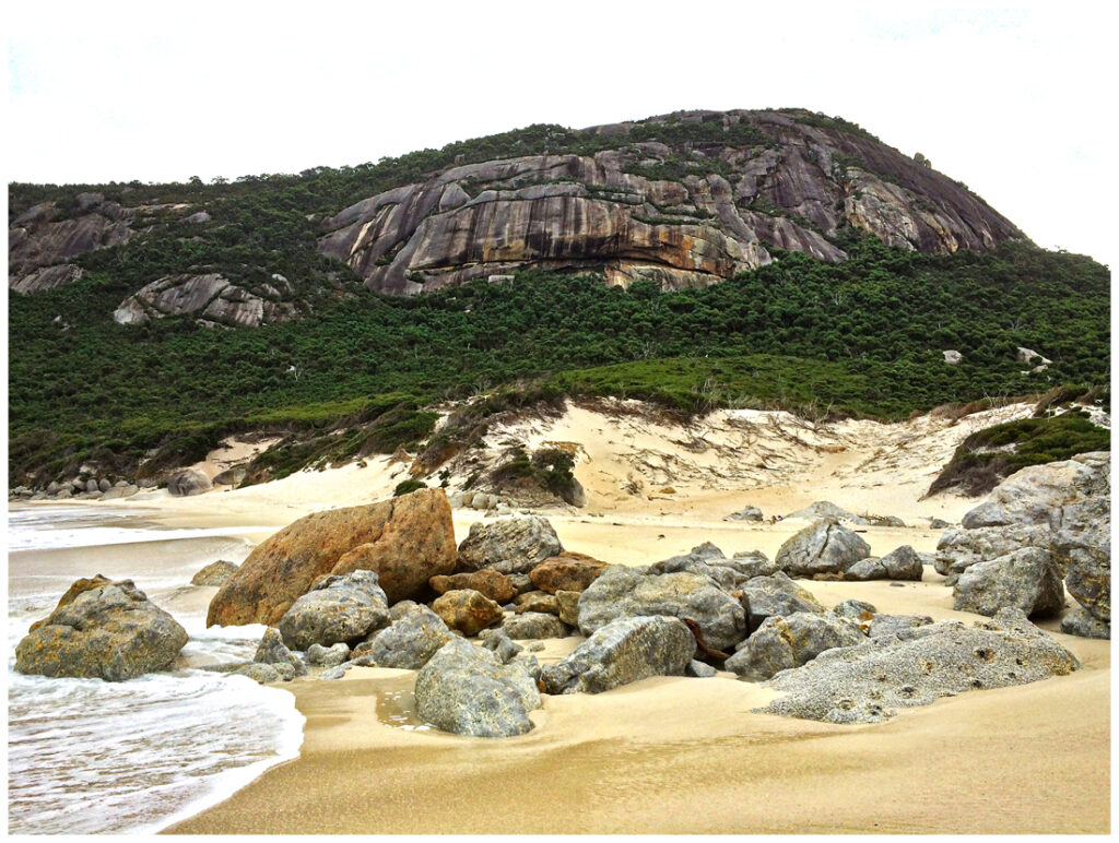 wilsons promontory national park mountain